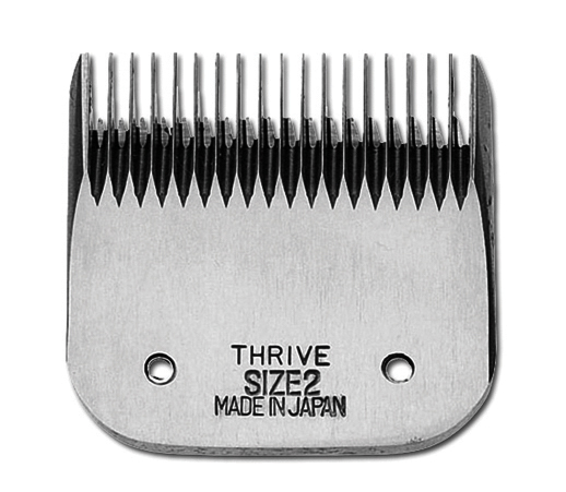 Thrive - Testina mm 6 - 2